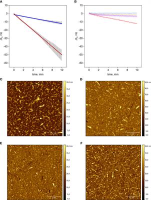 Self-assembled GLP-1/glucagon peptide nanofibrils prolong inhibition of food intake